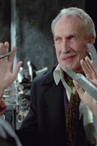 Edward Scissorhands
